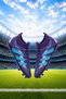 Pro+Laliga Sock Football Field and Turf Ground Cleats Unisex - 2