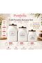 3-Piece Acacia Lid Porcelain Tea, Sugar, Coffee Storage Jar Set, Organizer Jar, Spice Jar - 2