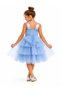 Girl's Floral Appliqué Princess Evening Dress Ak355 - 4