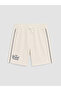 Lcw Kids Printed Boys' Shorts 2-Pack - 2