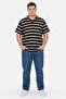 Men Regular Fit Stripe Short Sleeve Polo Shirt, Multicolor - 2