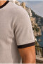 Miyazaki Regular Fit 100% Cotton Waffle Box Crew Neck Men's T-Shirt - Pebble Stone - 8