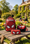 Primary School Orthopedic Waterproof 3 Compartment Primary School Boy's Backpack with Water Bottle