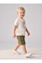 Boy's Tiger Printed Design T-Shirt - 5