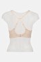 Women 3 Pieces Textured Padded Non-Wired Bra, Multicolor - 5