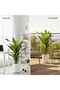 Faux Dracaena Fragrans Plant (98cmH) | Artificial Brazilian Iron Tree with White Vintage Pot & Yellow Pebbles | Low-Maintenance Fake Plant for Indoor/Outdoor Home Office Decor - 4