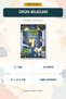 Baykuş Elli'nin Oyun Arkadaşları Illustrated Children's Story Book with Dating-Themed Stories for Ages 3+ - 6