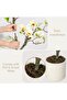 4FT Artificial Magnolia Tree with LED String Lights, Pre-lit Fake Flower Tree with Woven Pot for Home Decor, Living Room, Bedroom, Office, Entryway - 4
