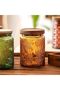 2 Pack Glass Storage Jar with Bamboo Lid, 23.7 FL Oz Kitchen Food Containers for Candy, Coffee, Tea, - 5