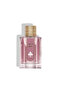 عطر شير روز من اكسترايت | Sheer Rose perfume by - 3