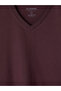Vizyon New Season Plum V-Neck Combed Cotton Men's T-Shirt - 6