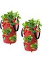 (20 x 35 cm) (Red) Two hanging strawberry planting bags. Made of non-woven fabric. With 12 holes. Also for planting strawberries, herbs and flowers.