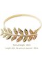 Two-piece adjustable curtain tieback set - metal spring and metal buckle curtain tieback - gold - 2
