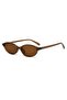 Versatile Retro Oval Sunglasses - Two-Piece Set - 5