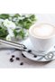Stainless Steel Electric Milk Frother - Mixer for coffee, milk, or eggs - 3