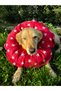 0.Rta-Büyük.Irk Dog Collar-Elizabeth Collar Operation Collar-Cat Neck Pillow-Xxl