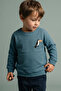 Boy's Bird Printed Crew Neck Sweatshirt (1-10 Years) - 2