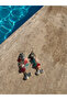 Zr Sequin Fish Earrings - 2