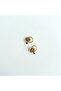 Motify 0.6 Steel Earring |   Steel Earrings