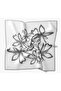 Twill Silk Scarf Bloom White - 5