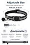 4-Piece Cat Play and Entertainment Set |   Leash, Tunnel, Fish and Intelligence Toy - 4
