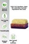 9-Pack Natural Pumpkin Fiber Lavender Soap 130 Gr