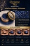 Dense Shimmering Glitter Eyeshadow in Powder Form – Silver No:111 (Eyeshadow) - 3