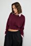 Plum Thick Non-Embellished Waist Detailed Regular Fit Cropped Length Knitted Sweatshirt Twoaw27Sw00050