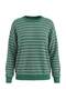 Wardrobe Essentials Yeşil Çizgili Oversize Bisiklet Yaka Triko Kazak TWOAW27KZ00220 - 5