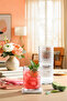 Tessa Glass Soft Drink Cup Set of 6 500 ml (Large Water/Cocktail Glass)