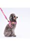 Rosea Camouflage Leash Cat Dog Transport & Travel Strap Dog Extension Leash-2Cm - 7