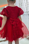 My Little Girl's Tulle Evening Dress with Lace Detail - Red - 3
