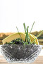 Elis Glass Soup Bowl Single Small Size 320 ml (Salad/Dessert/Breakfast/Cookie Bowl) - 4