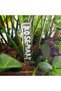 1set Transparent Eco-friendly Acrylic Herb Signs Plant Label Eco-Friendly Acrylic Plant Tag T-Ty... - 8
