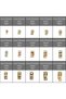 115pcs clamps 115 PCS 6-22mm Spring Hose Clamps or Pliers Zinc Plated Gas Water Hose Clamp Metal Too - 4
