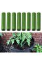 8mm-10PCS 10pcs Gardening Plant Support Connecting Pipe Vines Climbing Plant 8/11/16/20mm Stakes Gra - 6