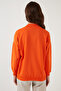 Cotton Stand Collar Basic Knitted Sweat SWEAT 5863323 - 6