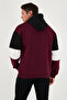 Cotton Relaxed Fit Hooded Inside Fuzzy Soft Ribbed Sweat Men's Sweat 5905299 - 6