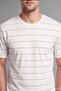 Regular Fit Crew Neck Short Sleeve White Striped T-Shirt H9464Ax26Sm - 6