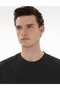 Black Comfort Fit 100% Cotton Crew Neck Basic T-Shirt 50306991-Vr046 - 2