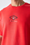 Fiesta Cotton Thick Soft Textured Oversize Fit Printed Men's T-Shirt - 88325 - 2