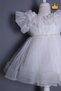 2-8 Years Old Rose Collar, Granular, Fluffy Tulle Baby Girl Evening Dress, Holiday Wedding Dress 3502 - 6