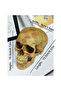 1:1 Simulated Resin Skull Decor - Gothic Halloween Centerpiece--Must-Have for Horror Enthusiasts and - 6