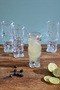 Selen Concept Tropical Model Handmade Glass Cocktail Glass Set of 4 - 3