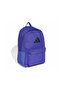 Clsc bos bp backpack purple - 3