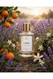 Libra extrait de Parfum for women 100ml - 2