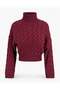 Turtleneck Straw Knit Crop Sweater - 6