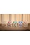Bicycle Mascot (Roc) Premium Playing Cards Deck of Playing Cards - 7
