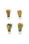 Dried Flower with Ceramic Pot, 1 pc, Assorted - 2