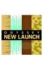 Odyssey Wild One Gold Edition Perfumes For Men Eau De Parfum 100ml, For Him, Long Lasting Fragrance, New Launch - 4